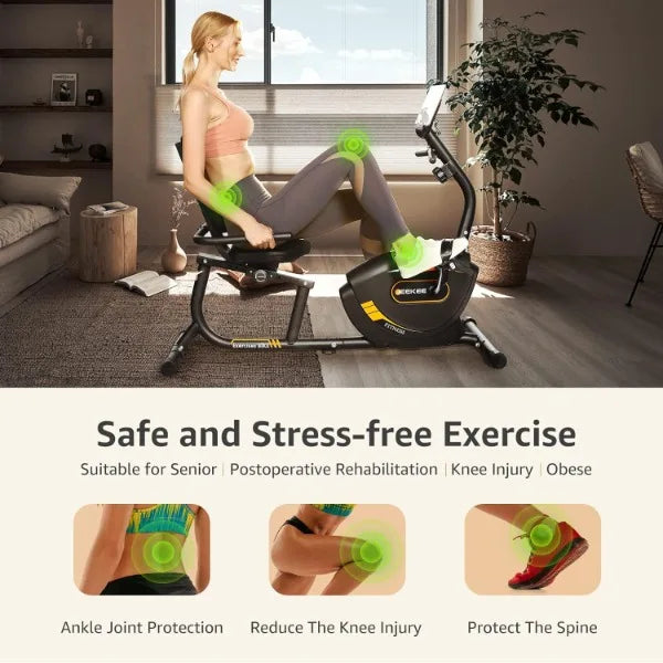 Recumbent Magnetic Exercise Bike For Seniors Home Workouts