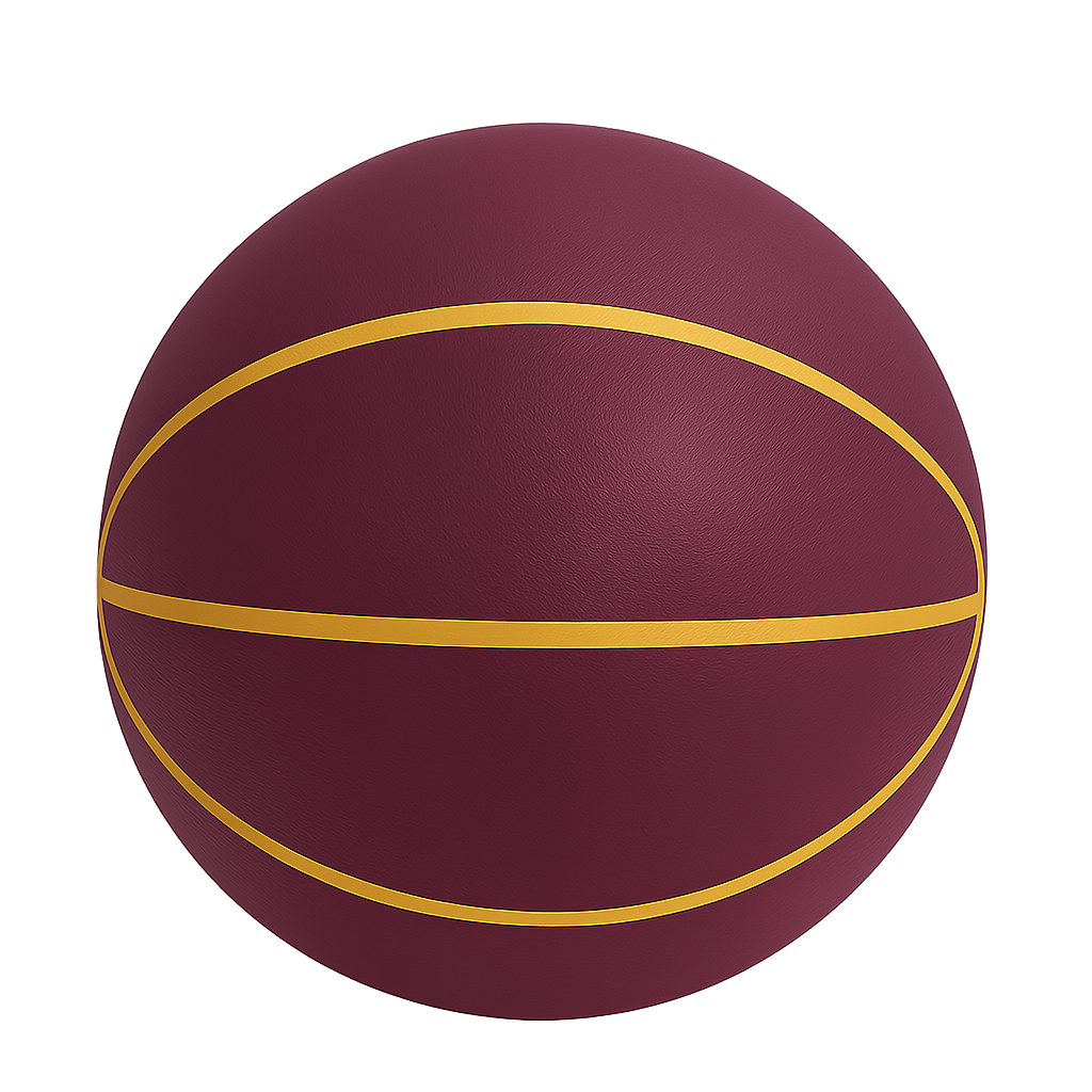 Quiet Bounce Basketball Indoor Outdoor Training Ball