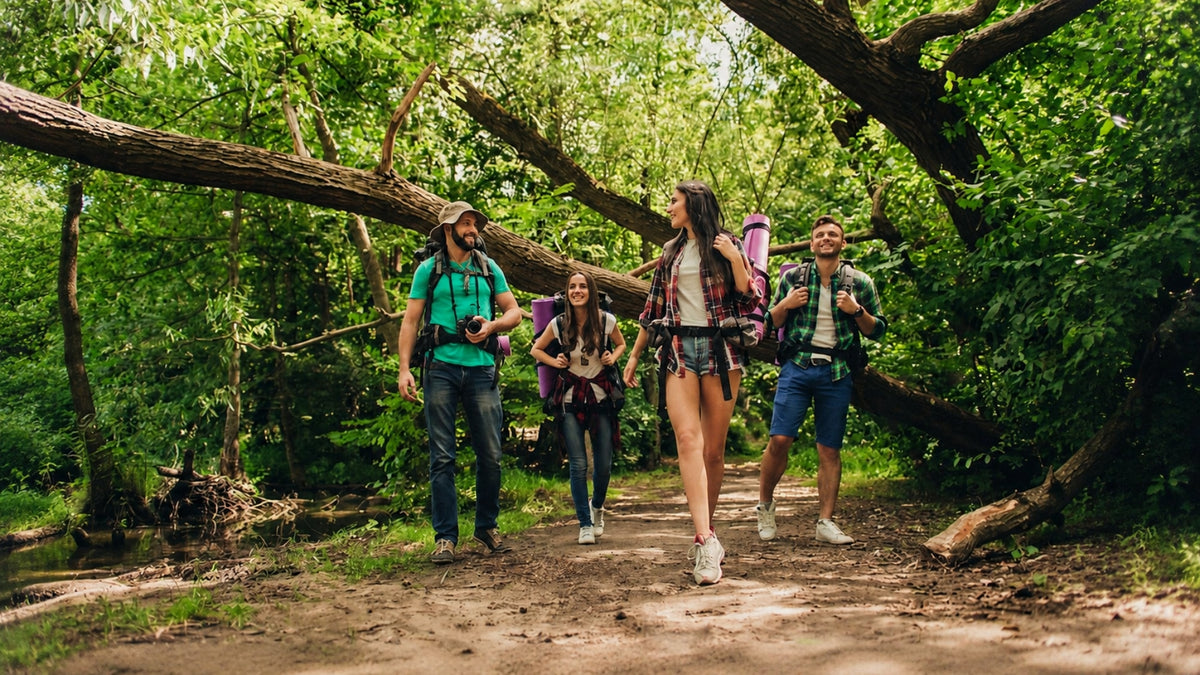 Four people hiking through a forest with backpacks and cameras.