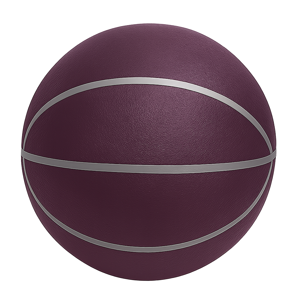 Quiet Bounce Basketball Indoor Outdoor Training Ball